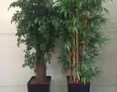 Planten huren Divers Planten huren Divers